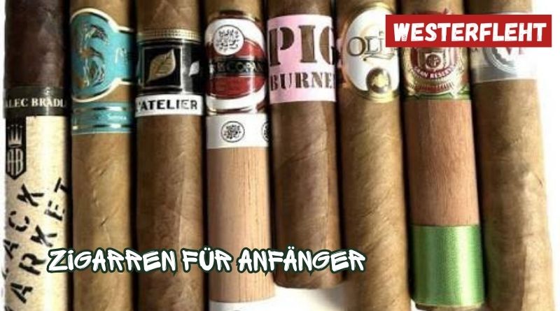 zigarren für anfänger